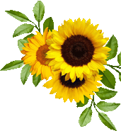 Blume1
