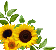 Blume2